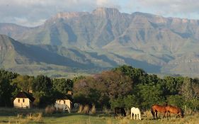 Ardmore Guest Farm